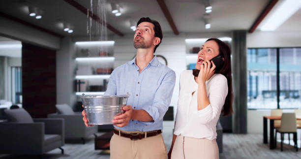 Best Plumbing Leak and Burst Pipe Cleanup in USA